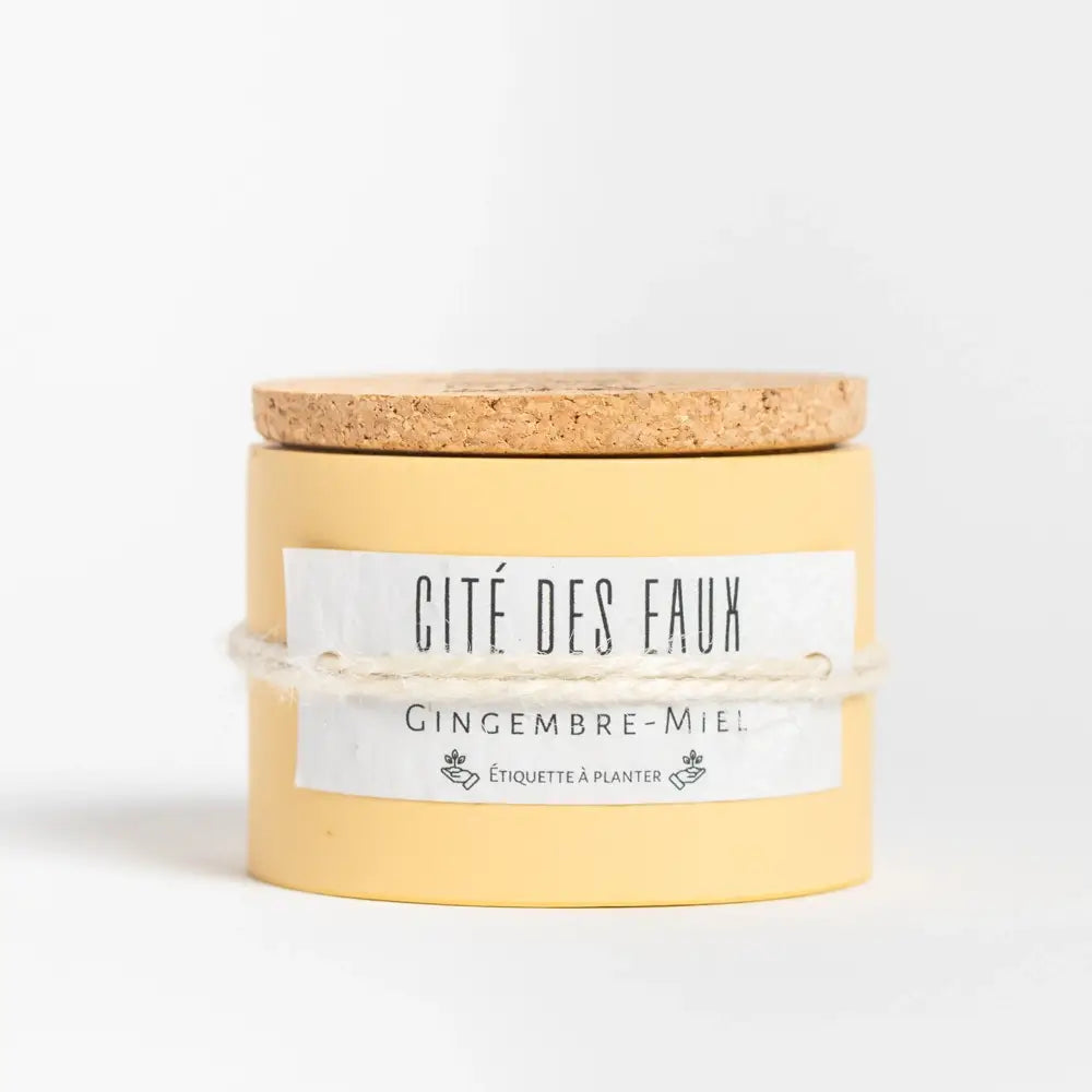 Bougie naturelle artisanale - Cité des eaux (gingembre & miel)