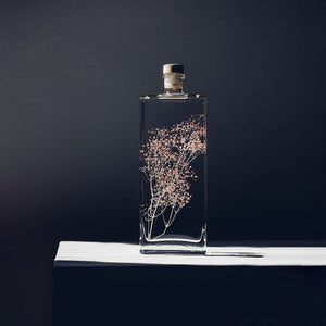 Herbarium - Gypsophile rose poudré - Plante Immergée